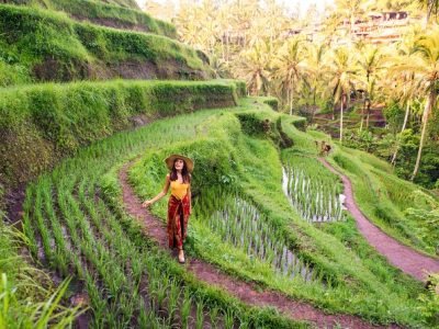 Ubud Cultural Tours