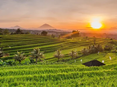 Pupuan Rice Terrace and North Bali Tour