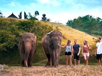 Elephant Expedition