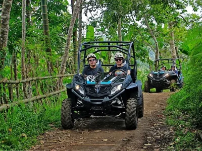 Junggle Buggy Adventure
