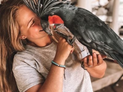 Bali Bird Park “Terbang Bersama Burung” Menyelami Keindahan Alam Tropis