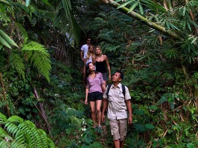 Tropical Trekking